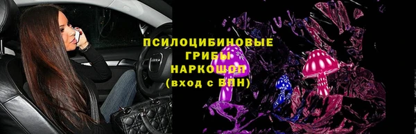 прущие грибы Богородицк