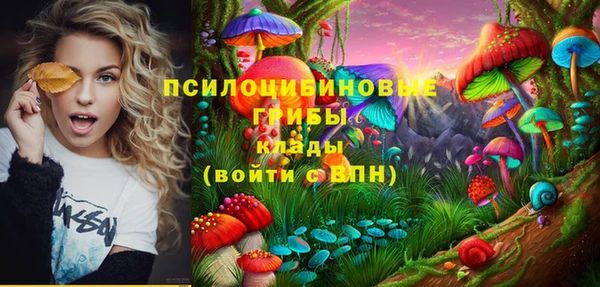 соль ск Богородск