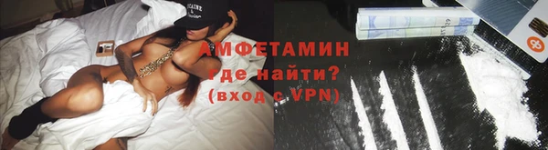 прущие грибы Богородицк