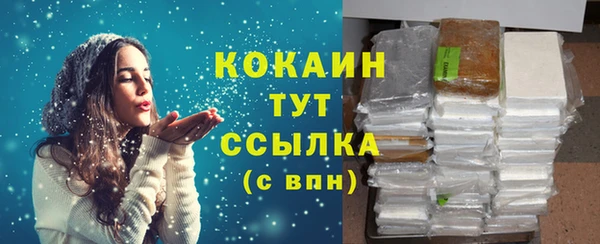 прущие грибы Богородицк