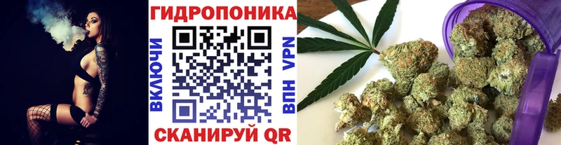 гидра маркетплейс  Югорск  Конопля планчик  где купить  